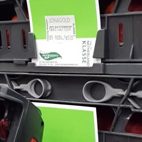 3-regelig met woordband