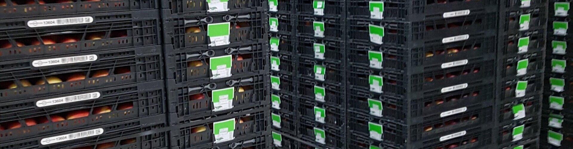 3-regelig met woordband