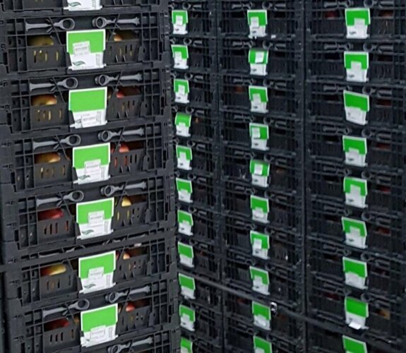 3-regelig met woordband