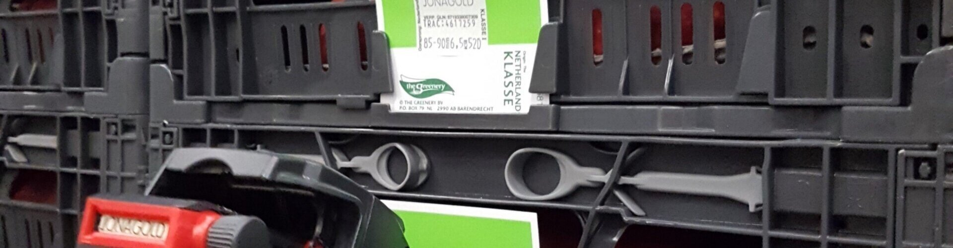 3-regelig met woordband