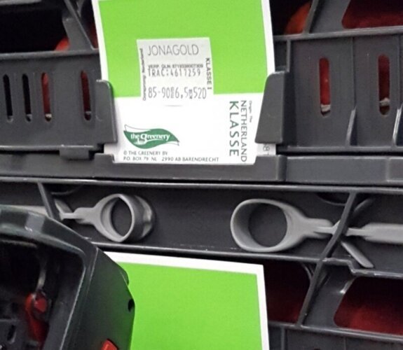 3-regelig met woordband